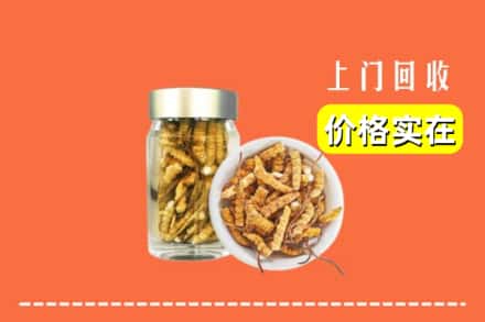 黔南长顺县回收散虫草