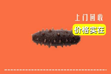 黔南长顺县回收海参