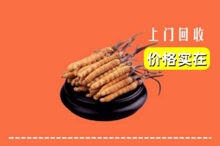 黔南长顺县回收冬虫夏草
